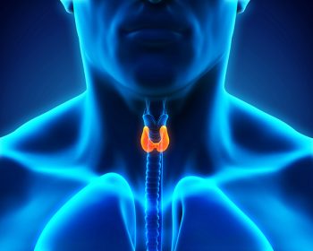 Understanding the Thyroid