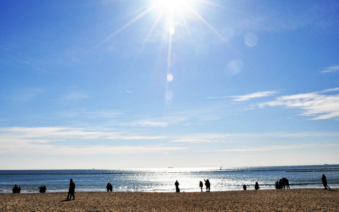A Guide to Vitamin D-Do I need to Supplement