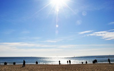 A Guide to Vitamin D-Do I need to Supplement