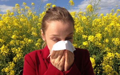 A Natural Approach to Seasonal Allergies