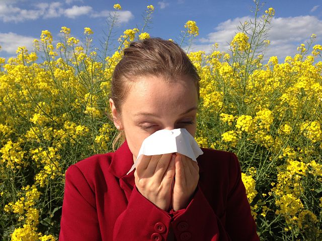 A Natural Approach to Seasonal Allergies